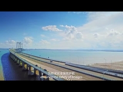 AC220V 50Hz वजन में गति प्रणाली IP68 अधिभार पहचान