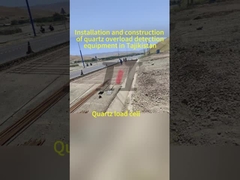 उत्पत्ति सटीक भार के लिए गति में वजन प्रणाली गति 0.5-105km/h